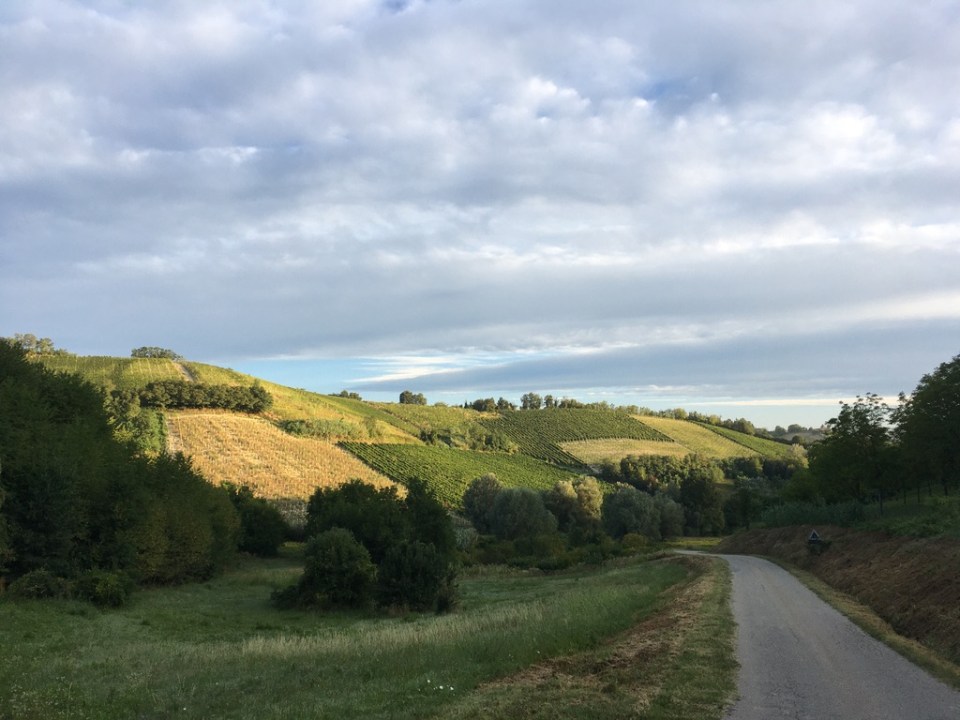 PIEMONTE, ITALIA (2012 – …